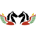 Air Burkina