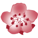China Airlines